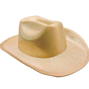 SOMBRERO COWBOY